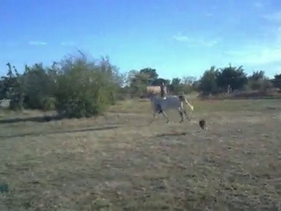 séance saut à cru avec Natal