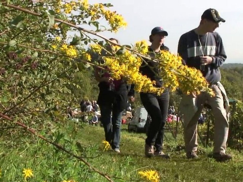 2010 Marange Silvange La Marche Gourmande