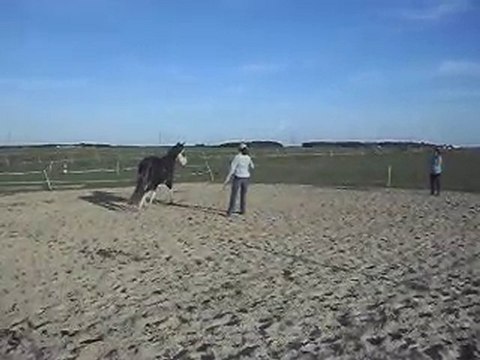 HASTA LUEGO, mon très bon cheval CRIOLLO: STAGE AVEC CELINE.