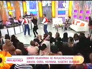 ADEM AYDAŞ  AYDOST-BÜLBÜL-CEZAYİR