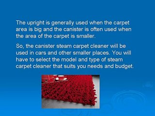 Care And Maintenance Of Carpets