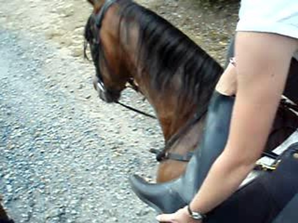 Sarah et sa botte