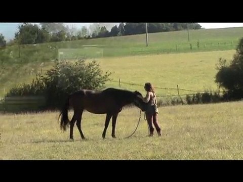 séance avec Roxane 20 septembre 2010