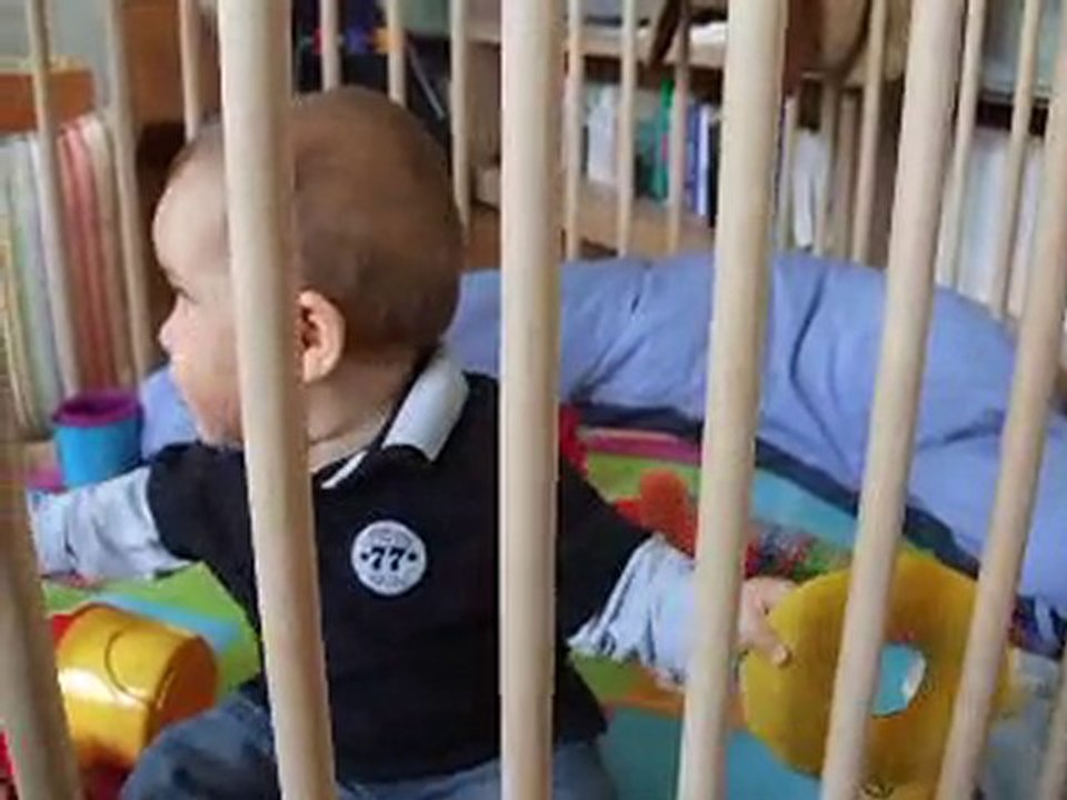 little monkey.AVI