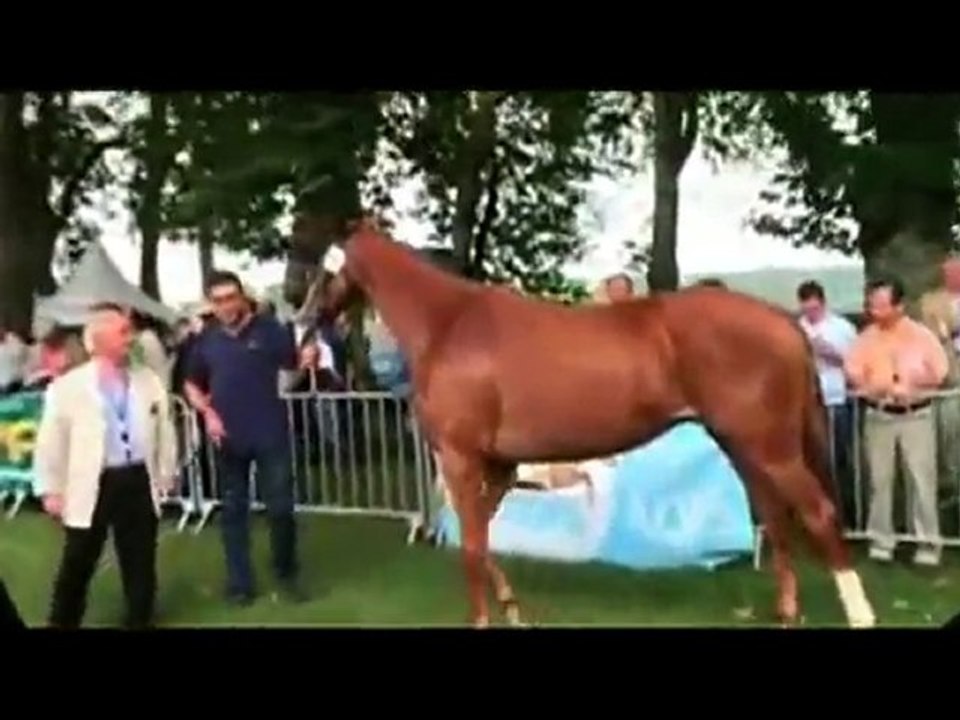 Les rappels du concours AQPS de Decize 2010