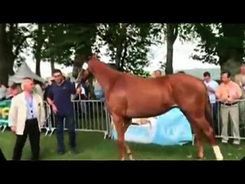 Les rappels du concours AQPS de Decize 2010