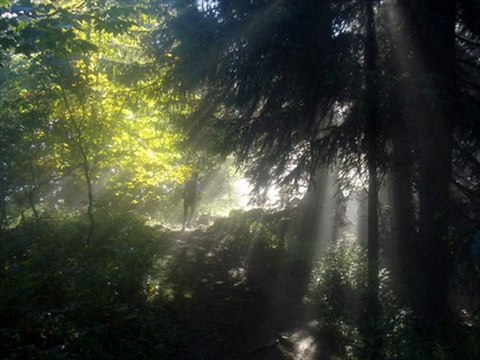 Ecotrail de Sommand / Praz de Lys