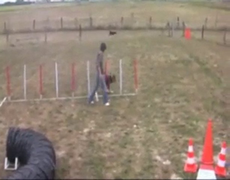 Jessica et Youka entrainement agility du 16-09-2010