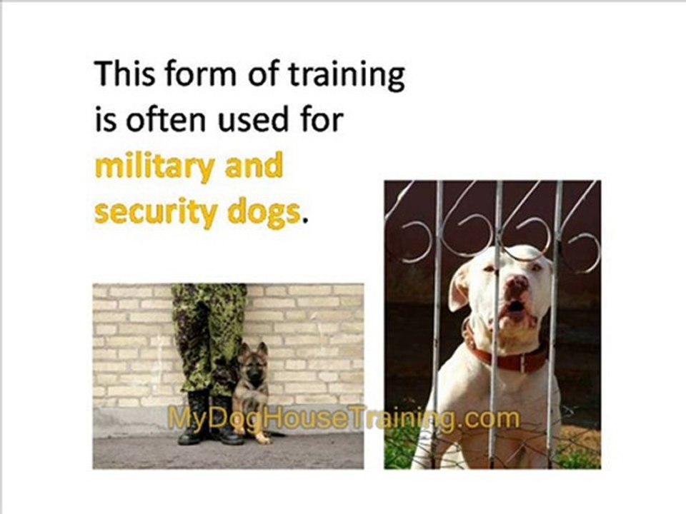 Dog House Training – Start with Basic Obedience Training