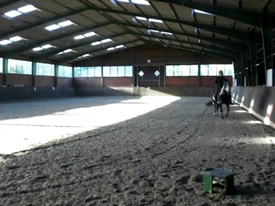 Emma halsringreiten - wendungen, schritt und trab