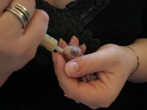 nourrissage d'un bébé catherine (2)