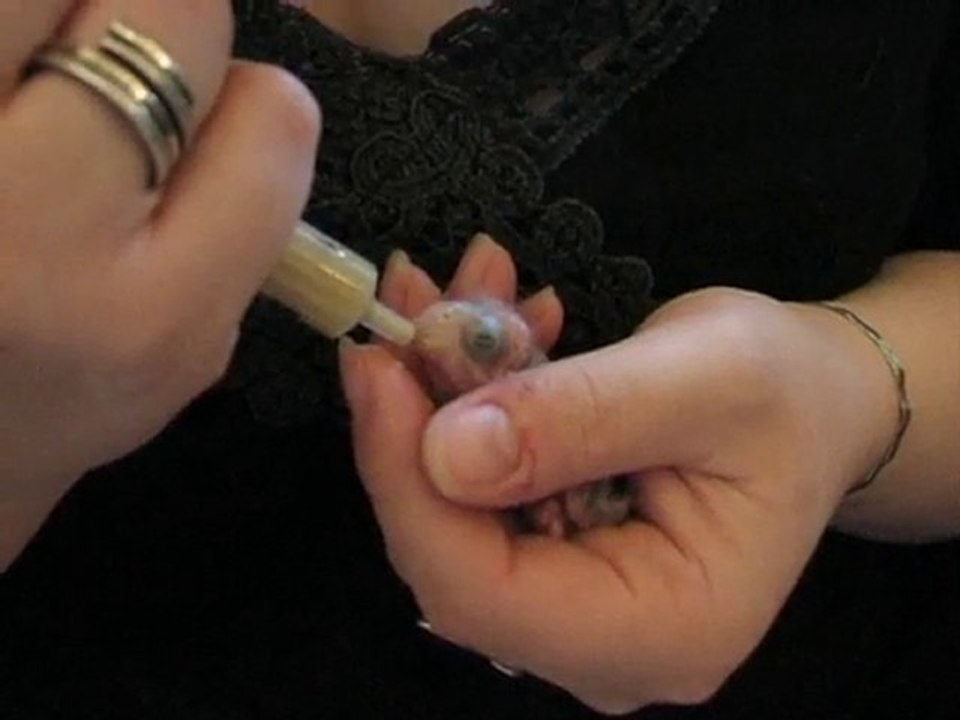 nourrissage d'un bébé catherine (2)