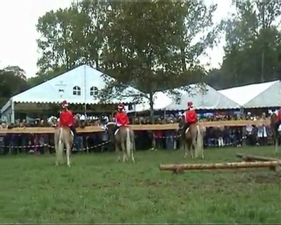 spectacle fête du cheval Mackenheim 2010