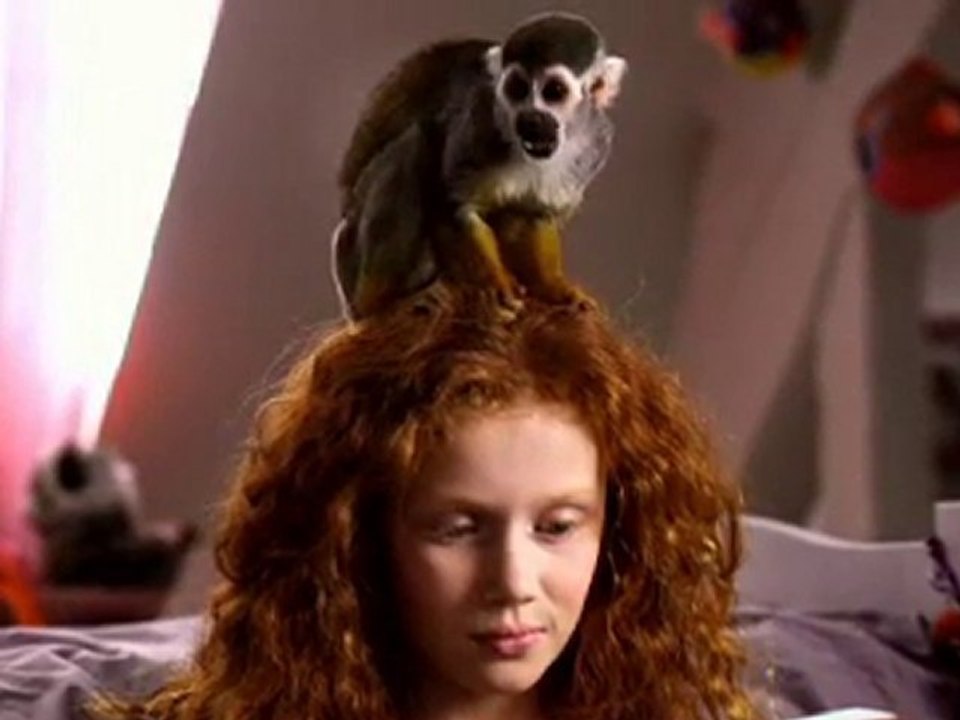 Monkey