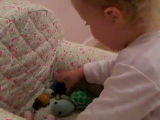 Clotilde couche sa famille tortue