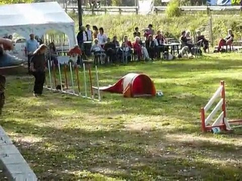 Bambou - KO Villeneuve Loubet