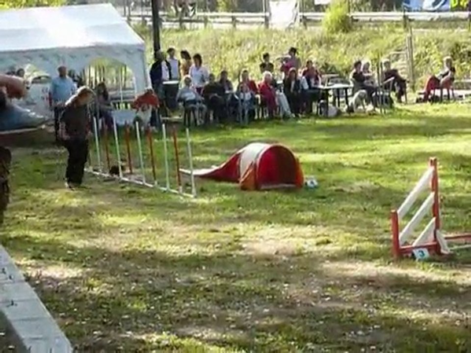 Bambou - KO Villeneuve Loubet