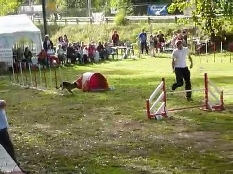 Brownie - KO Villeneuve Loubet