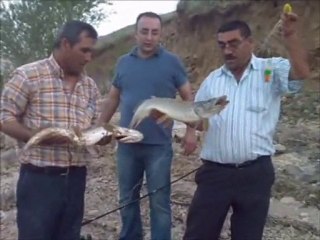 KIRIKKALE TURNA BALIĞI