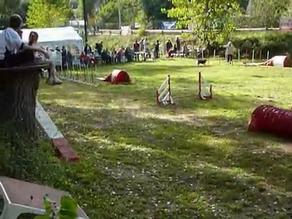 Bianca - KO Villeneuve Loubet