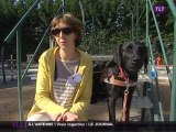 Le rôle des chiens guides d'aveugles (Toulouse)