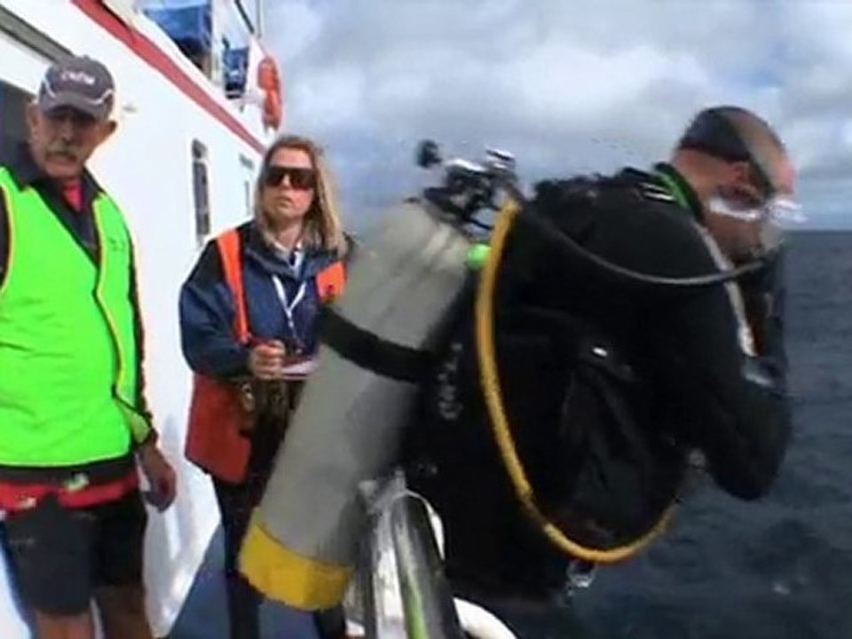 Scuba Diving Schools Milton Pro Dive QLD