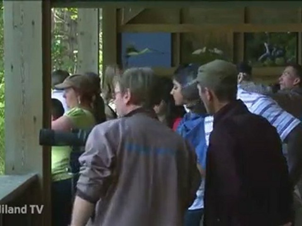 Le Parc du Marquenterre - Jardiland TV - le grand jardin n°5