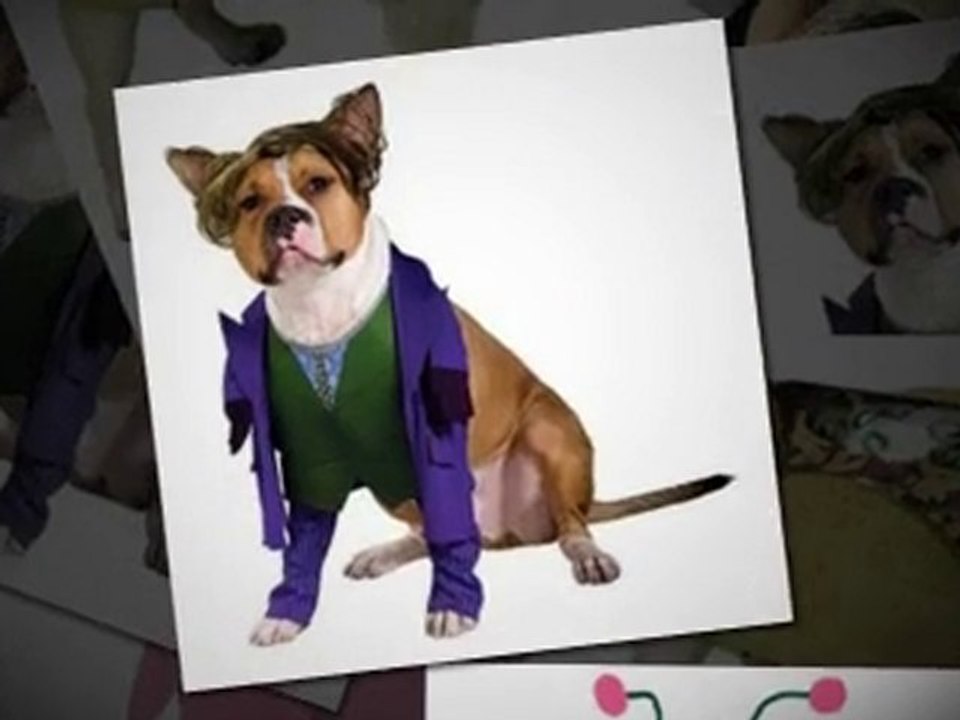 Funny Dog Halloween Costumes