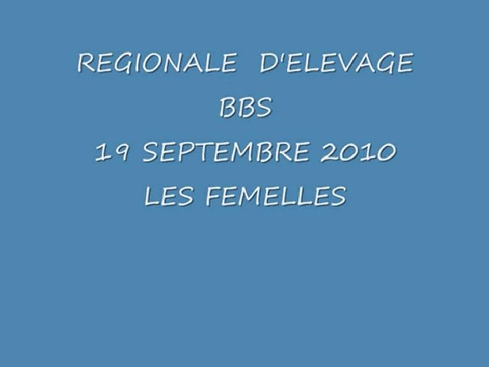 REGIONALE  D'ELEVAGE BBS 19 SEPTEMBRE 2010 LES FEMELLES