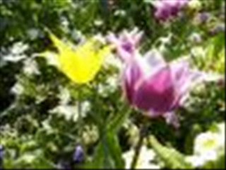 DOGUM GÜNÜ KUTLAMA