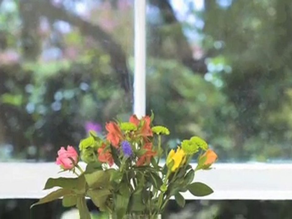 Akwaria Warszawa Kolodziejczyk Zenon. Uslugi szklarskie