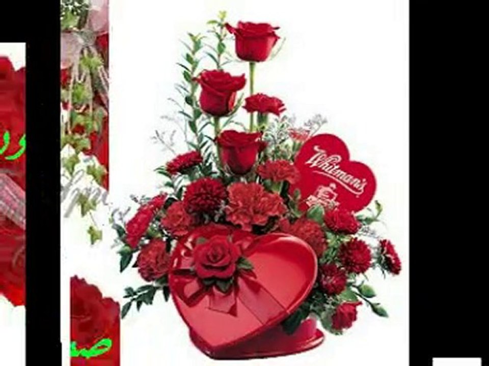 viva l'algerie cheb salim tipaza