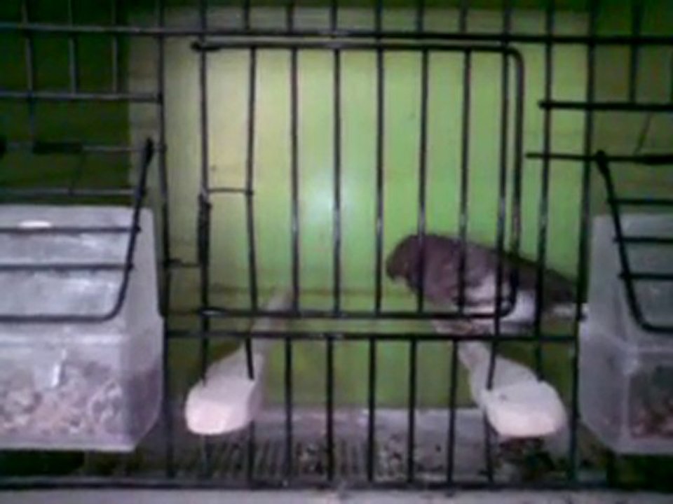MOV00562