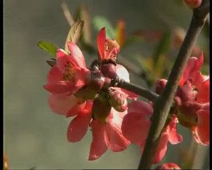 Kusuru kendinde gör