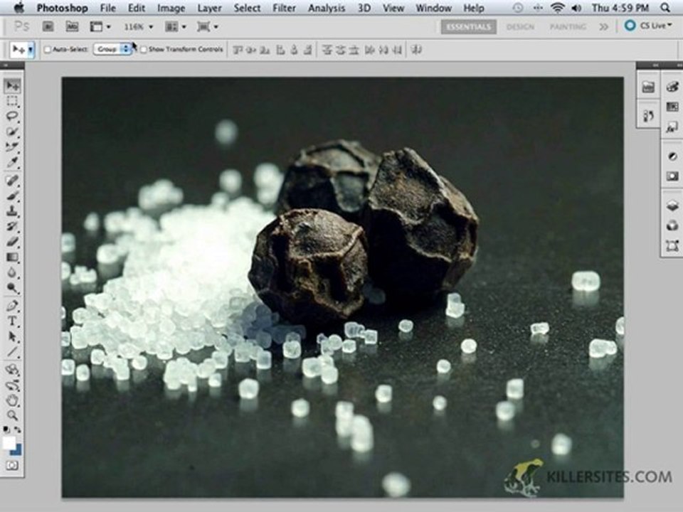 Photoshop CS5 A Look At The Zoom Tool