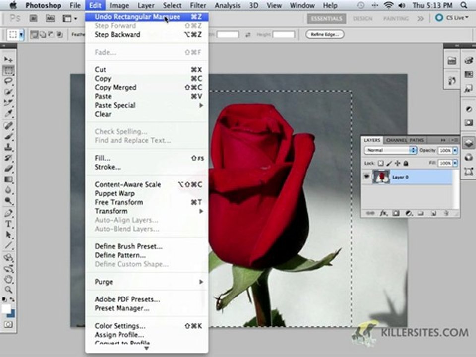 Photoshop CS5 Looking At Selection Tools Part 1