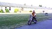 x Dirtbike pitbike super motard x