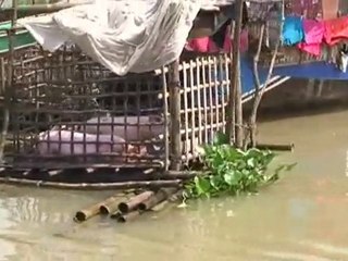 Riverboat to Batdambang, Cambodia. Episode 25-3min
