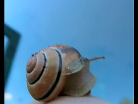 Analytics Скорее всего №2- экономика на службе у идеологии