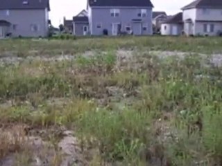 Homes for Sale - 262 Pine St - Beecher, IL 60401 - Coldwell