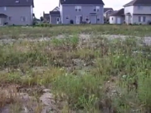 Homes for Sale - 262 Pine St - Beecher, IL 60401 - Coldwell