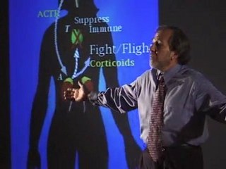 Bruce Lipton - Biology of Perception (4)