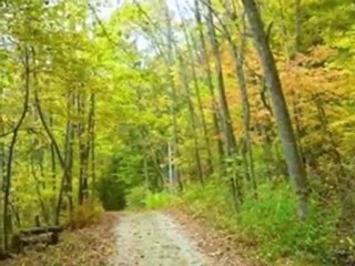 Homes for Sale - 4854 Lower Forest Beach Rd - Port Washingto