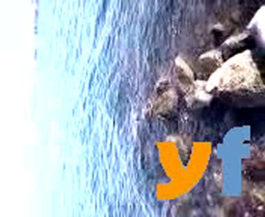 balık avı 1
