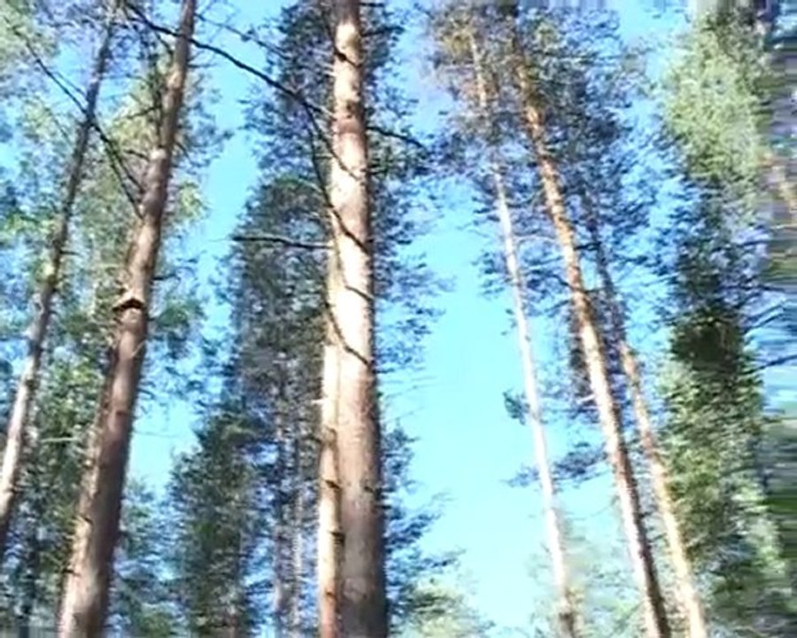 Поход выходного дня