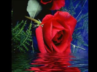 Filmim.SEVİYORUM SENİ...ONUR AKIN..ASİMAVİKEMAL