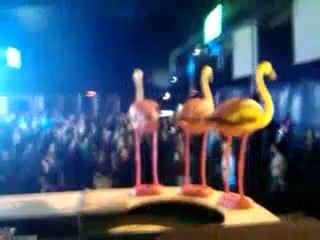 DJ Onnik Performing on Dancevalley 2010 (The Evlo Stage)