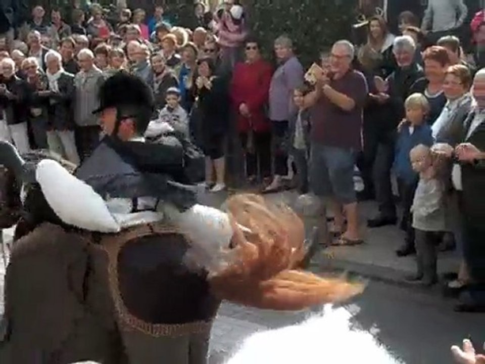 Hazebrouck Ville Ouverte 2010