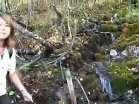 103.takaとkayoの世界旅行★トロムソinノルウェー(2日目)世界遺産 動画