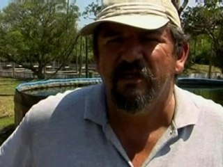 Hunt on for escaped Mexican crocodiles